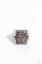 Load image into Gallery viewer, Startling Stones - Silver